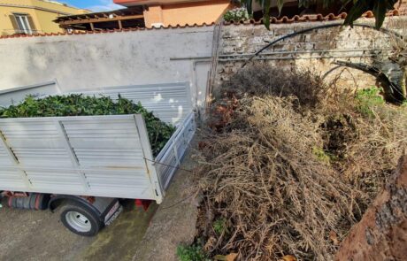 sfalci e ramaglie meta verde